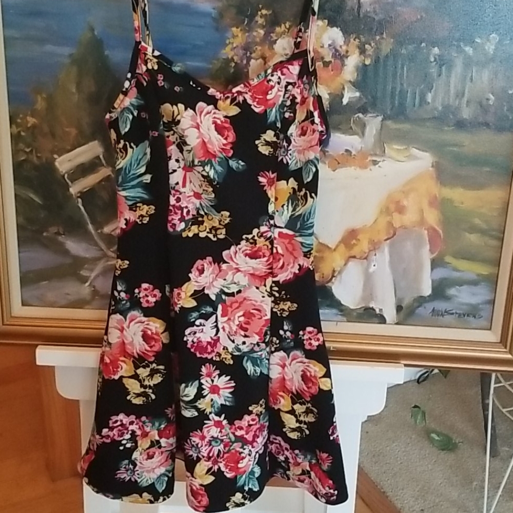 Black, Floral Skater Dress